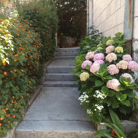 Flora Apartment