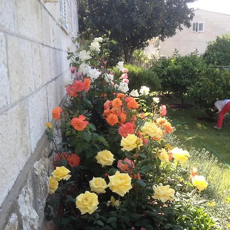 Flora Διαμέρισμα Ντουμπρόβνικ